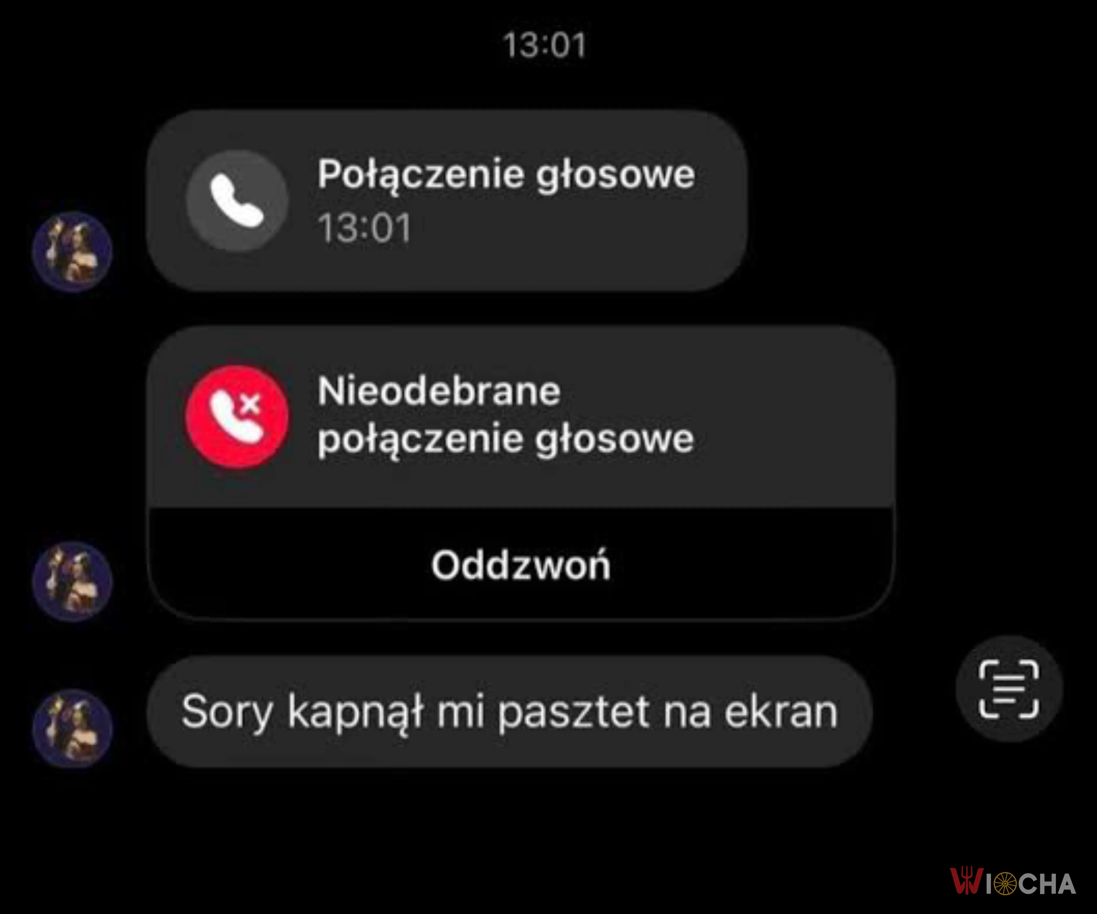 Pasztet kapnął na ekran
