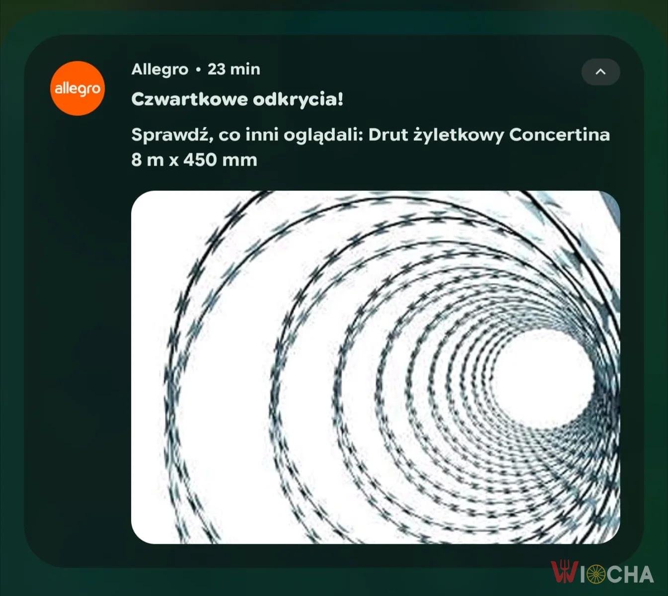 Allegro poleca na czwartek....