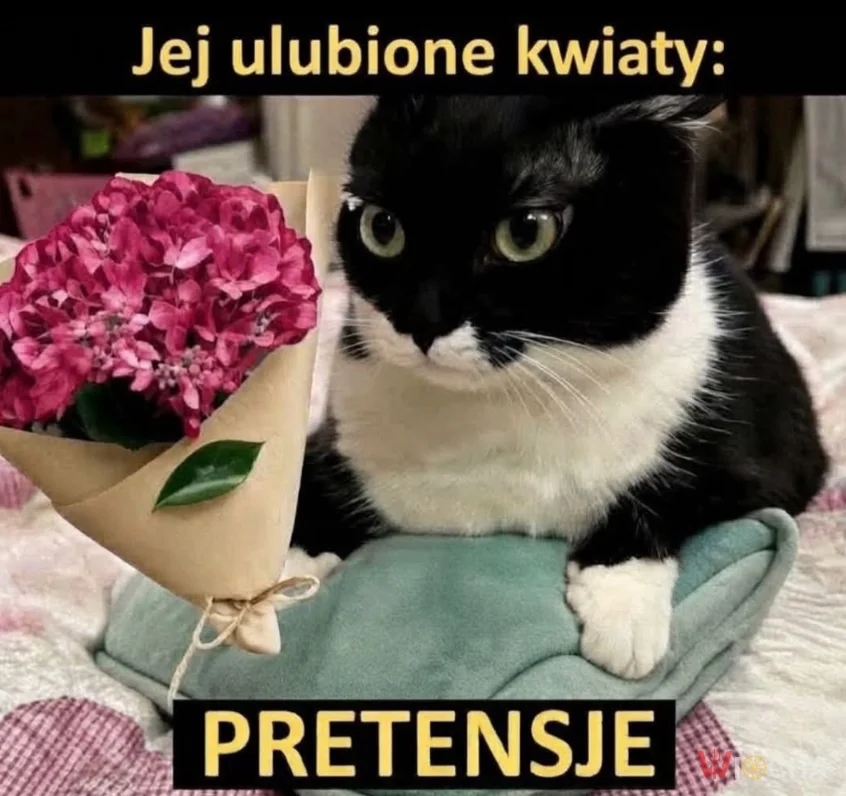Pretensje