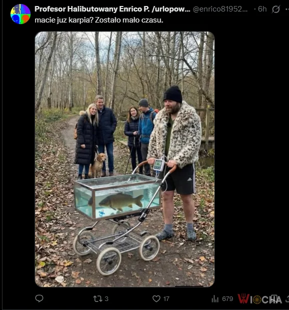 Karp jest już w drodze