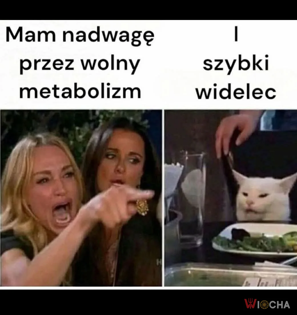 Zawsze znajdą winnego