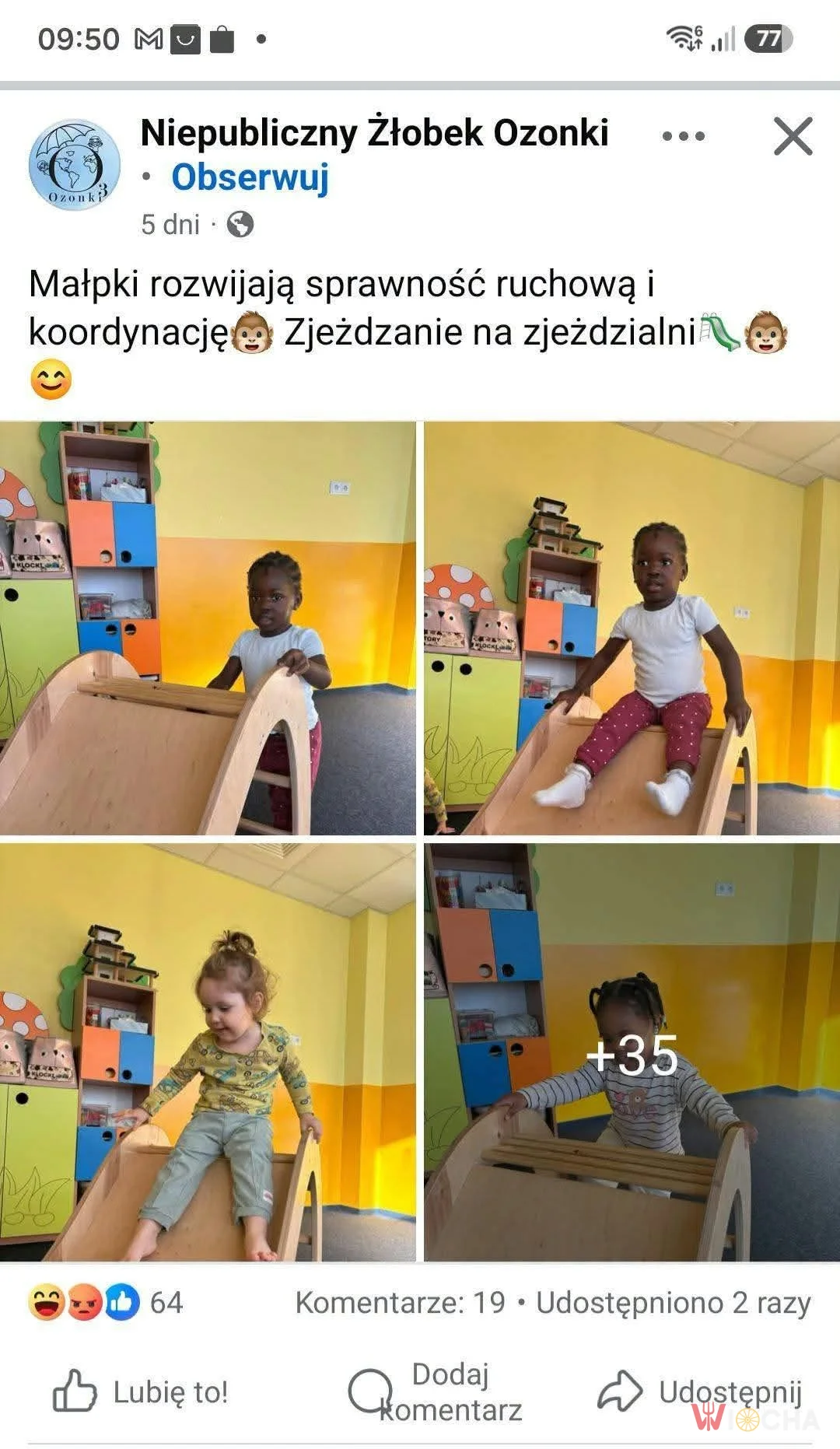 Ciekawa nazwa grupy w żłobku
