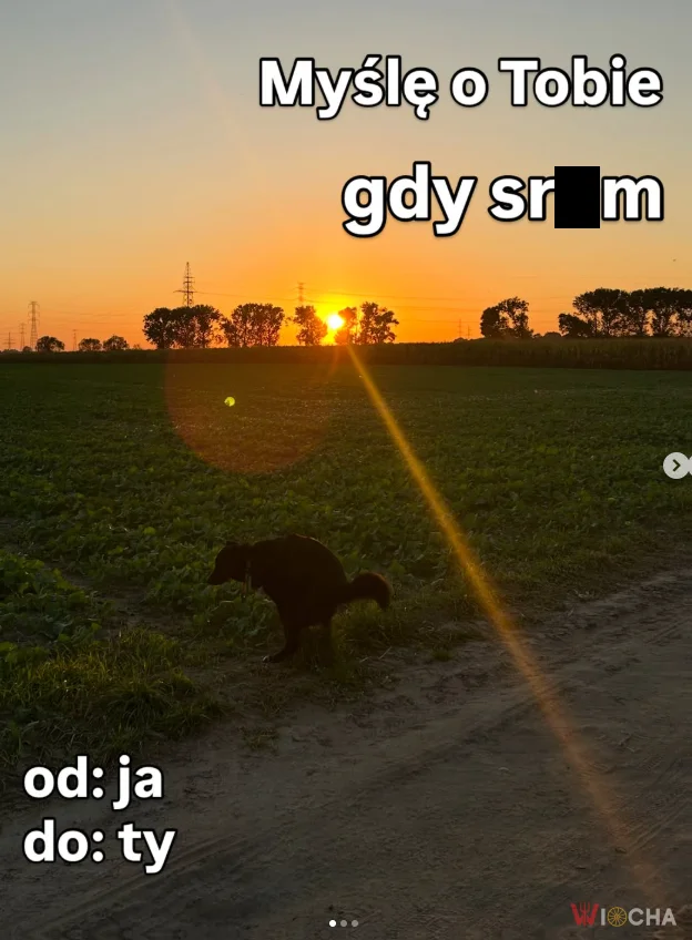 Refleksje w toalecie
