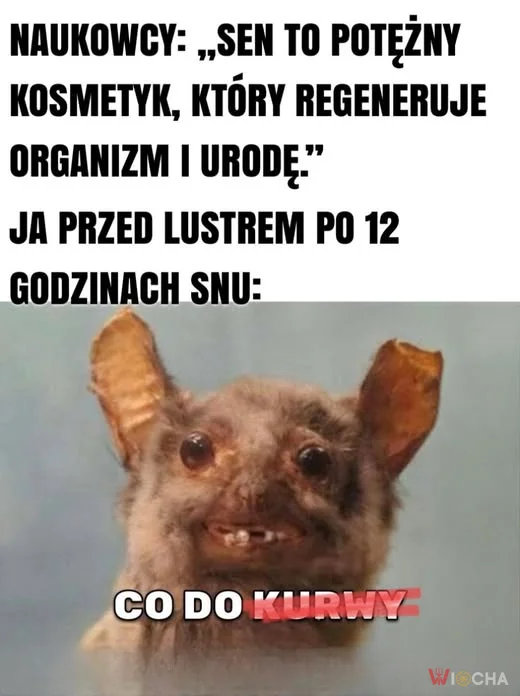 Sen to najlepszy kosmetyk