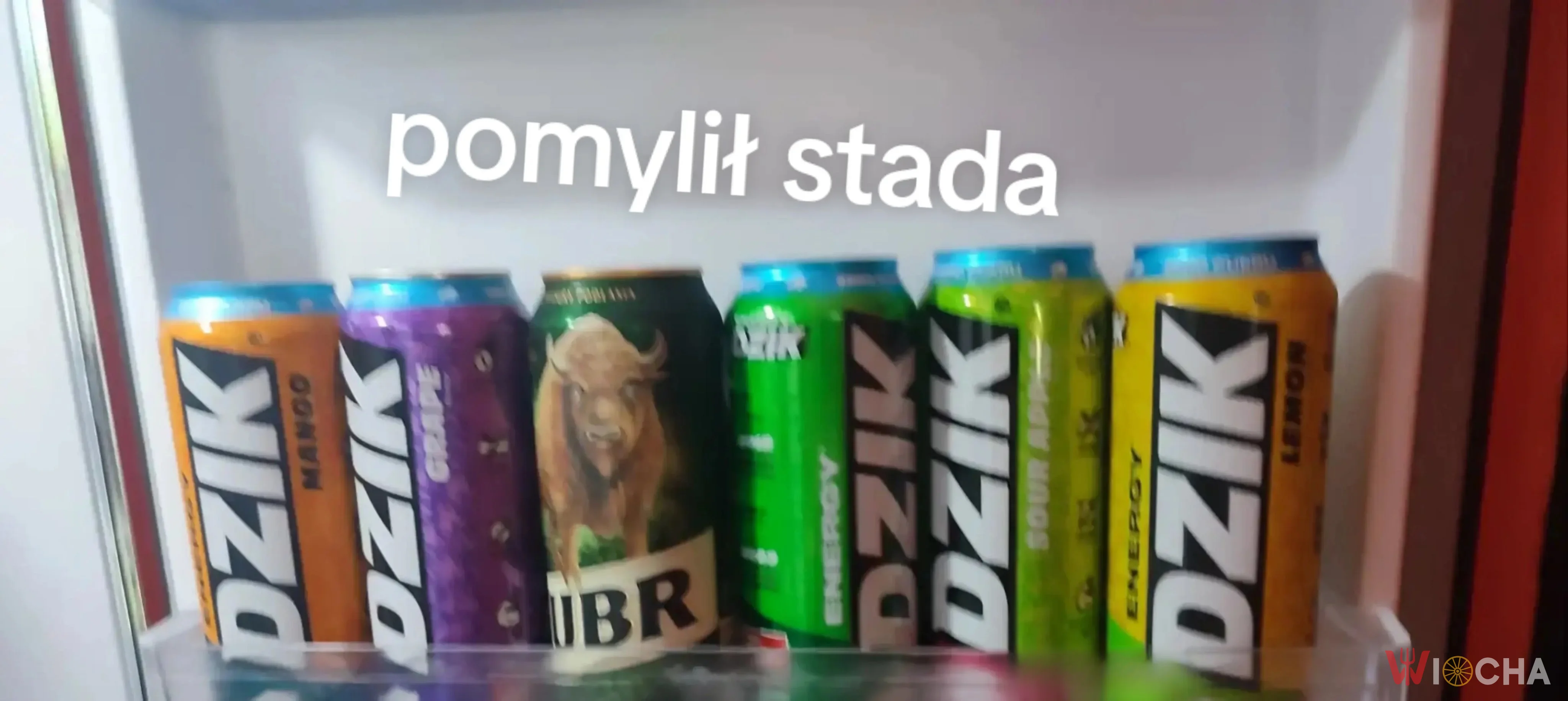 Pomylił stada