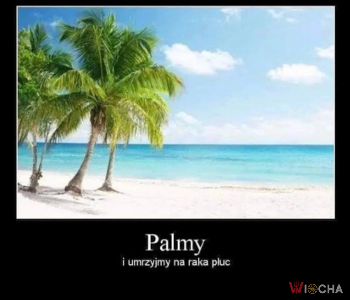 Palmy do woli