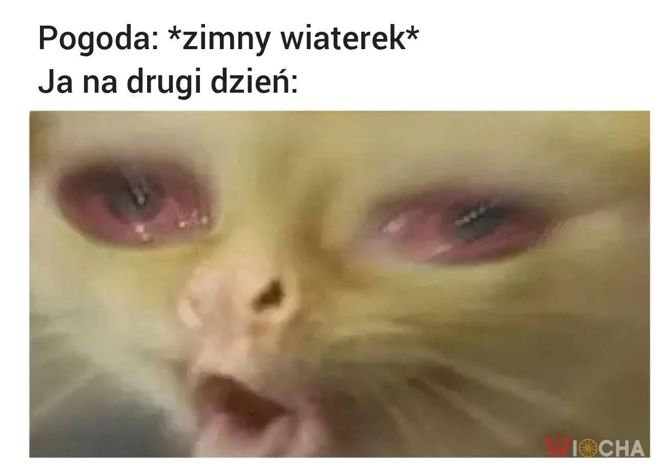 No i będzie przeziębienie