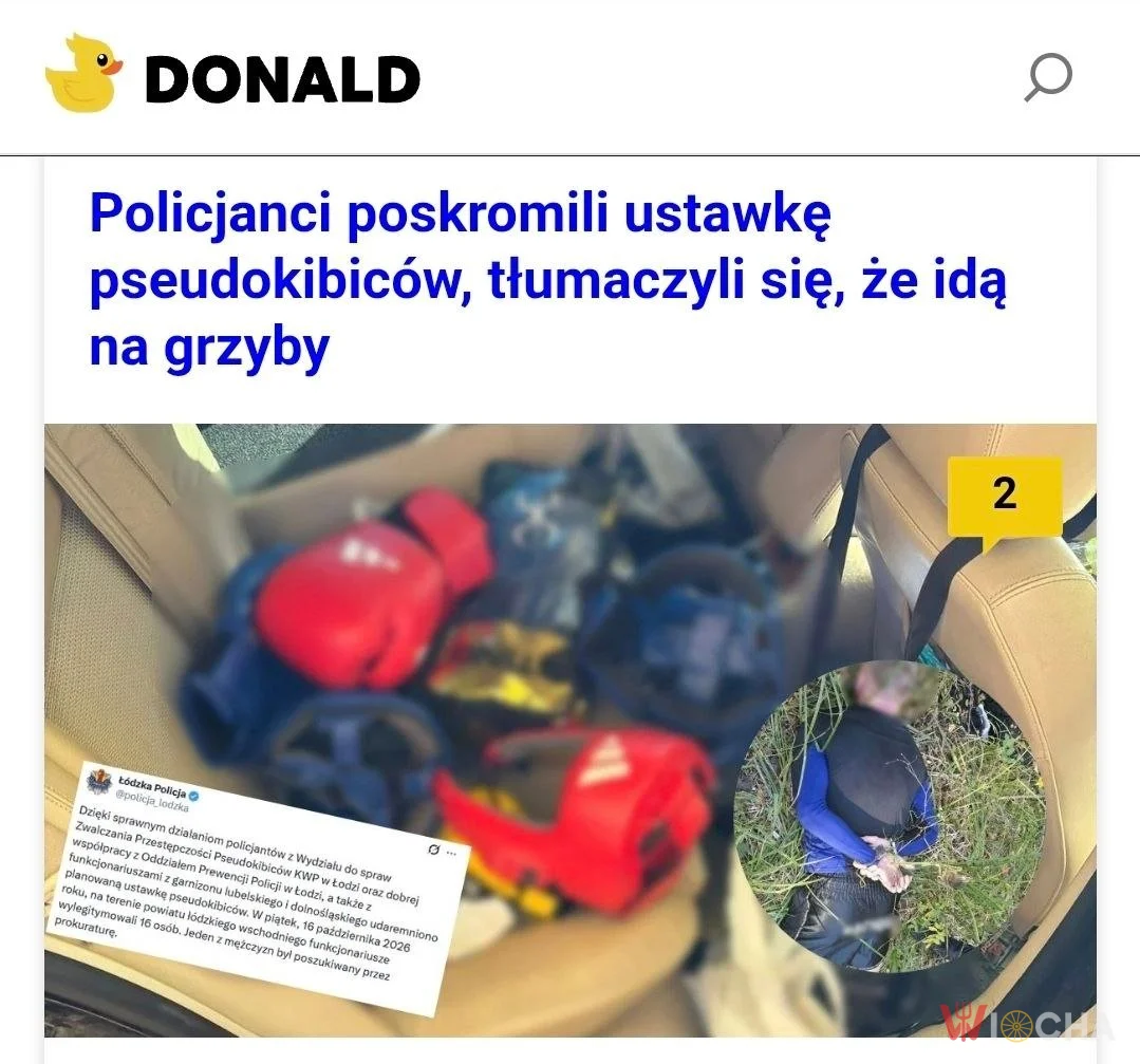 Grzybki czy ustawka?