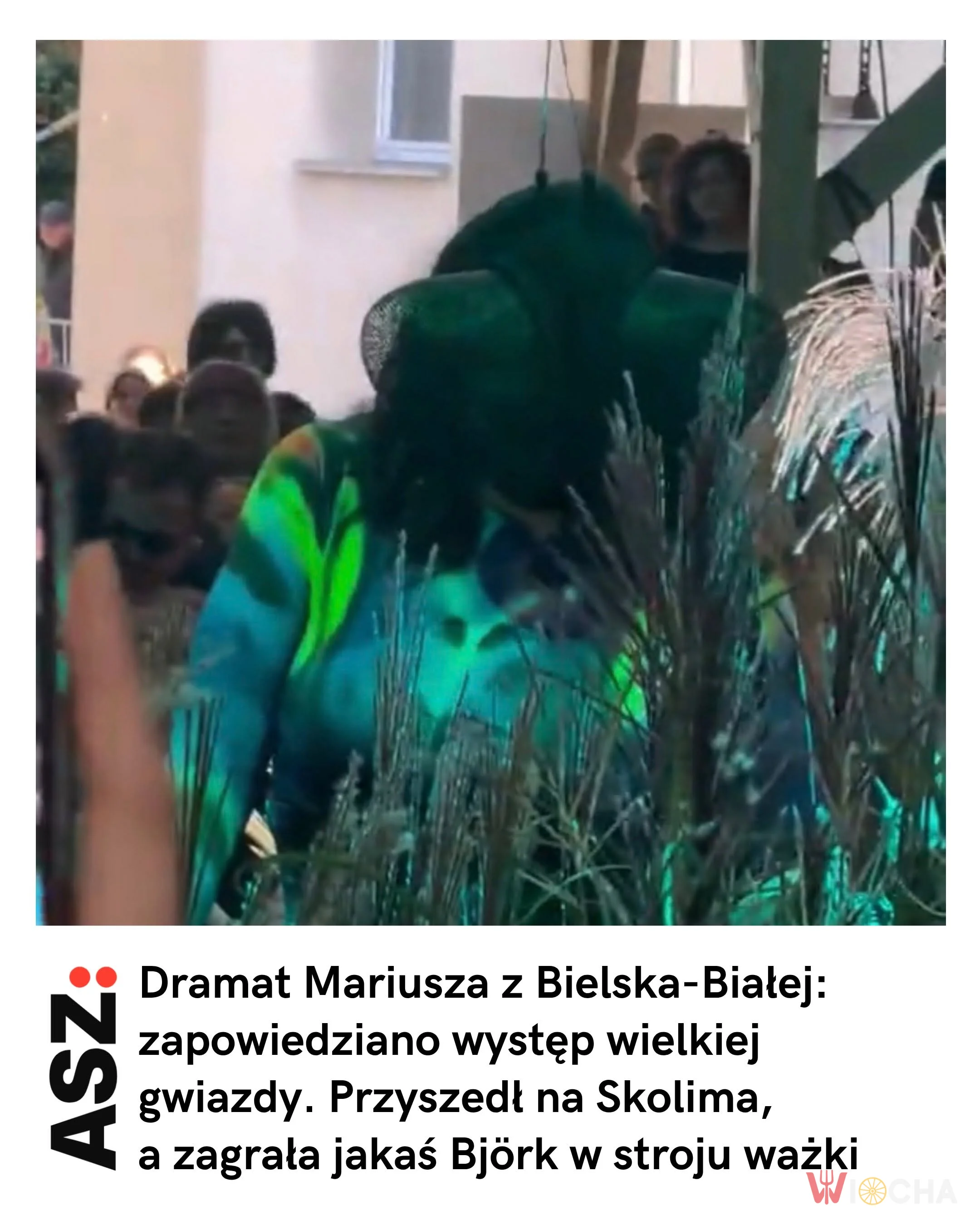 Jakaś tam Bjork, a miał być Skolim