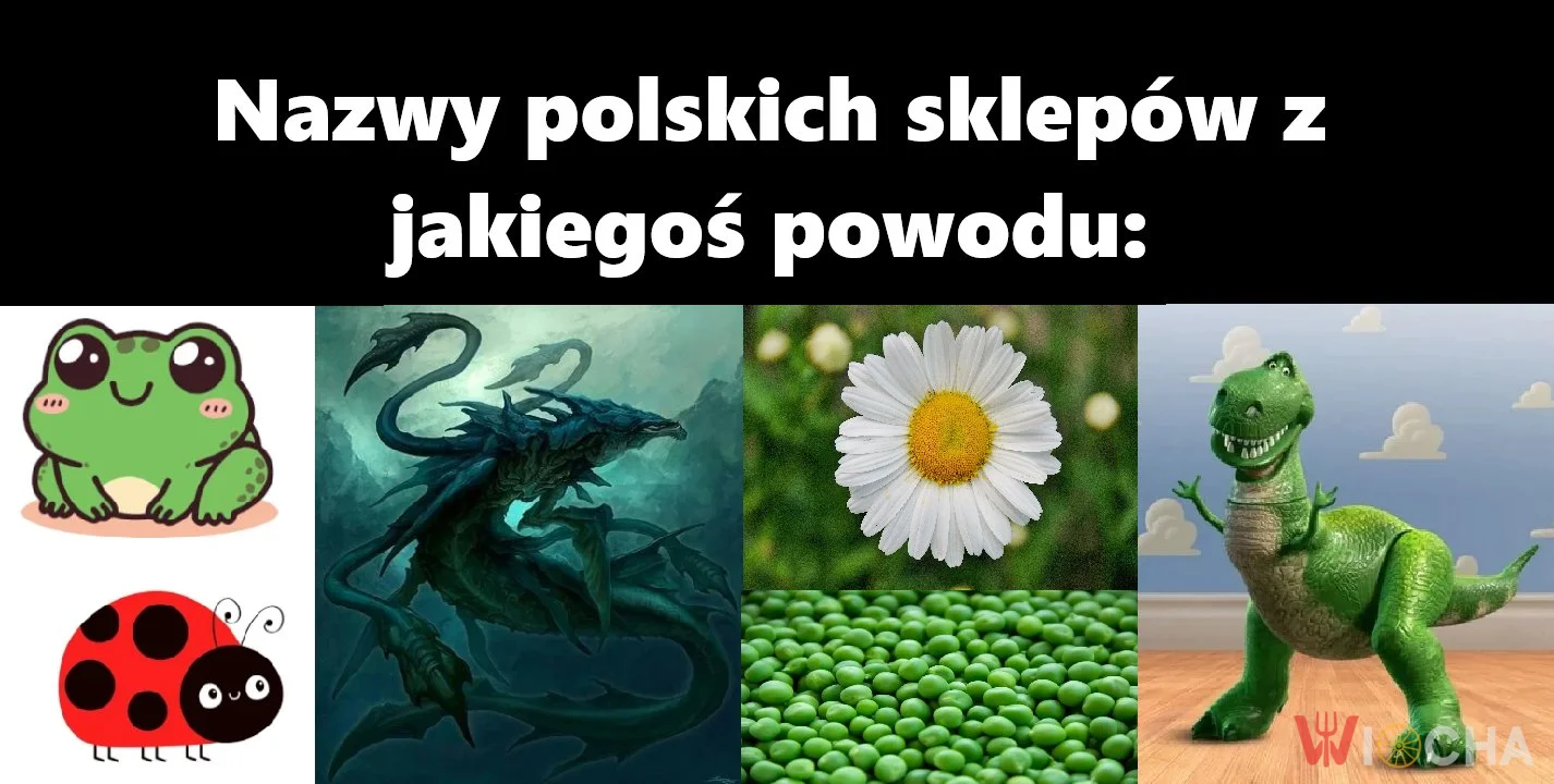 Skąd biorą te nazwy?