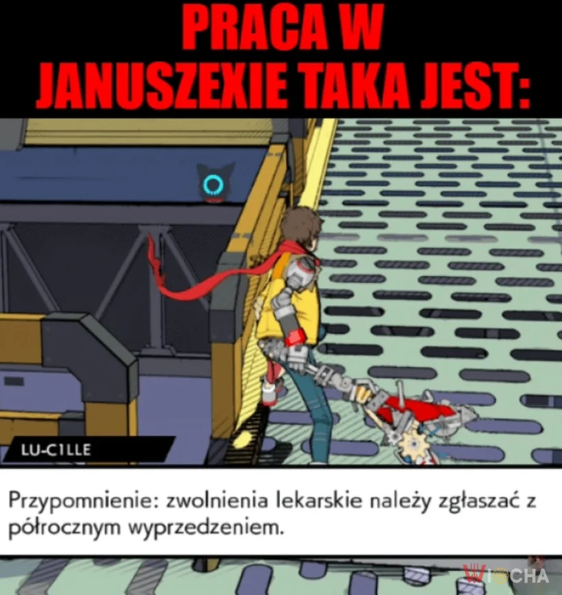Praca w Januszexie taka jest