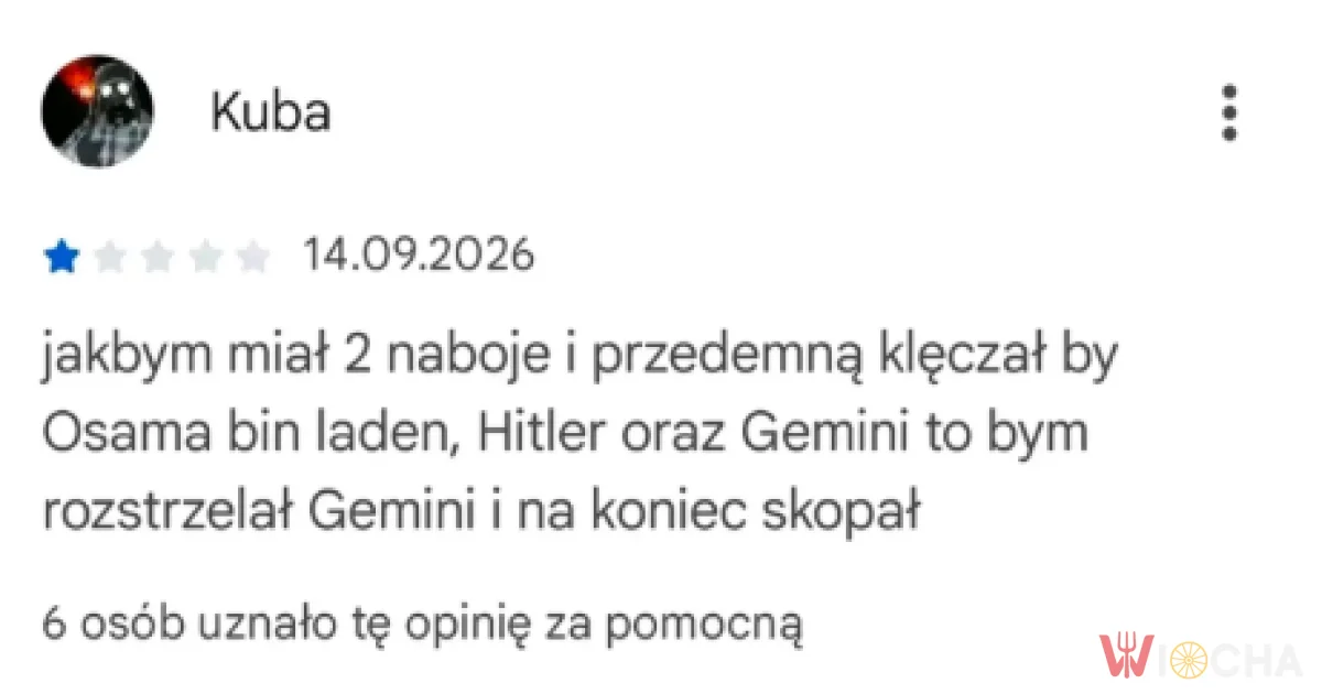 Gemini kontra historia