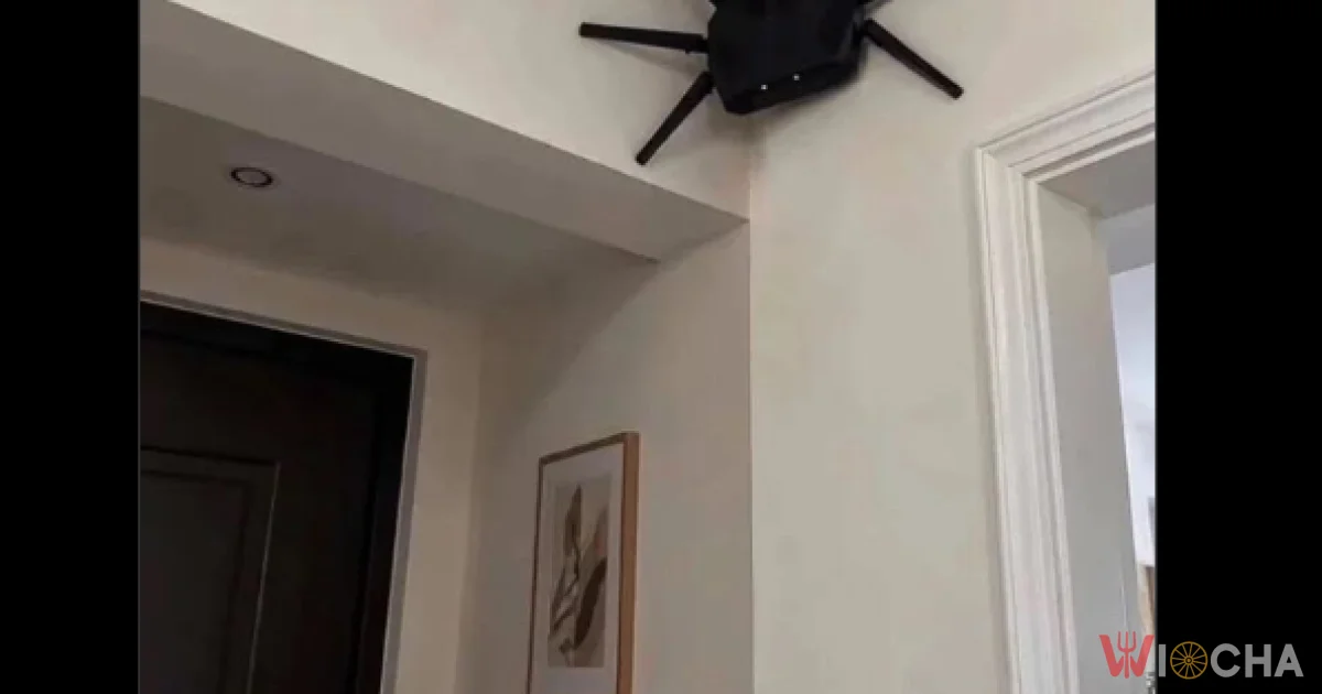 Typowe rozwiązanie w Australii