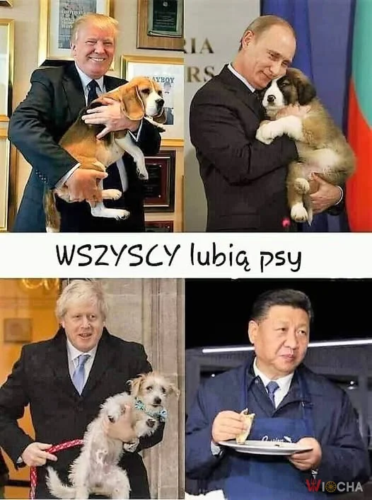 Psy łączą ludzi