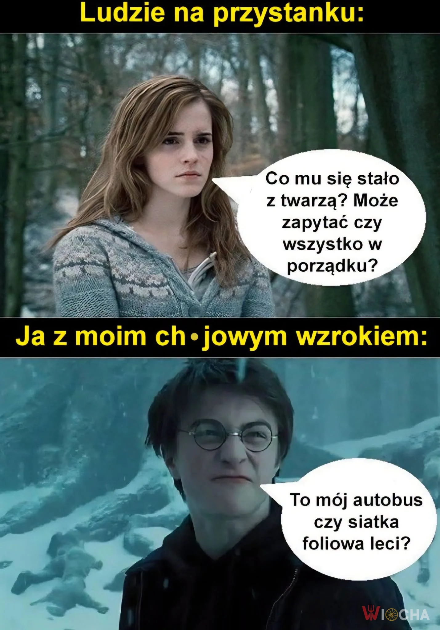 To mój autobus czy reklamówka?