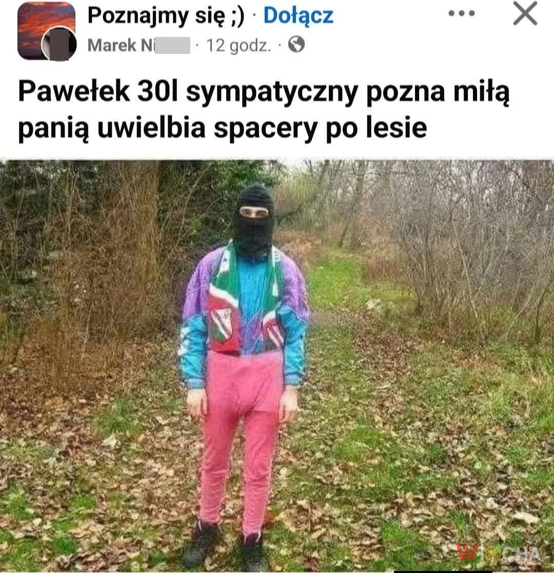 Szuka miłości
