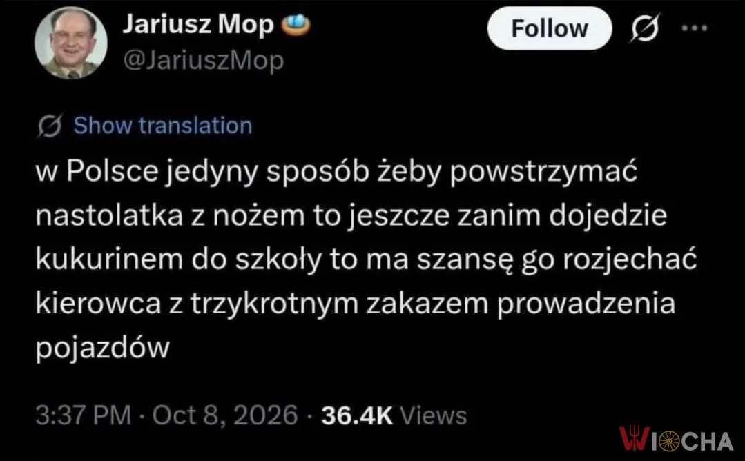 Polska logika w pigułce