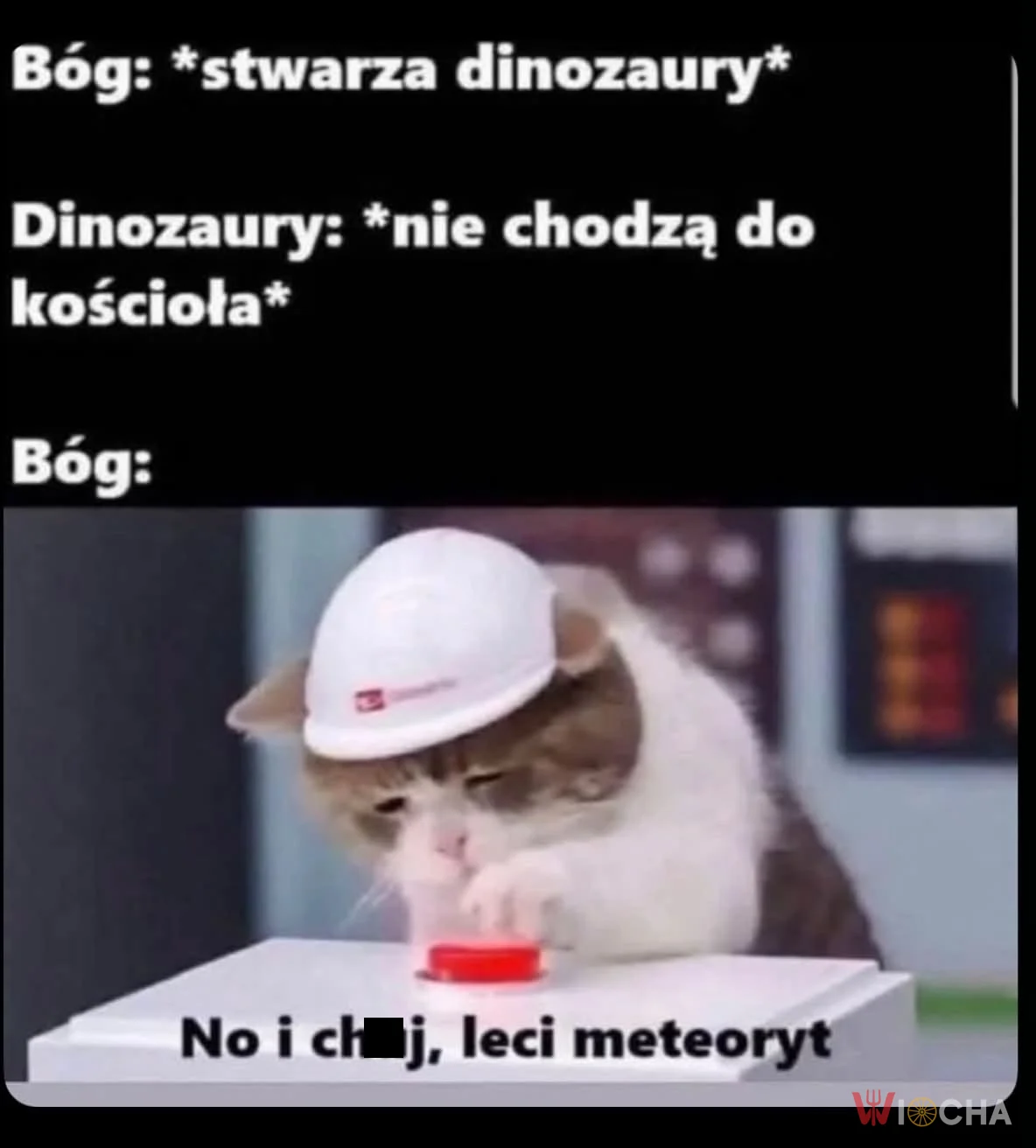 Już po dinozaurach