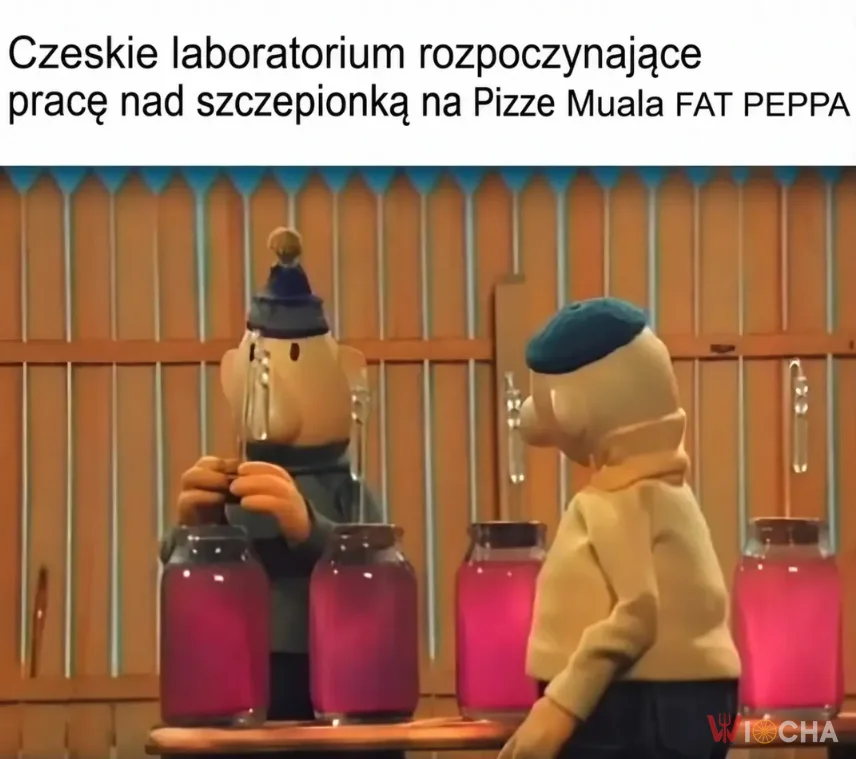 Czeskie laboratoria - praca wre
