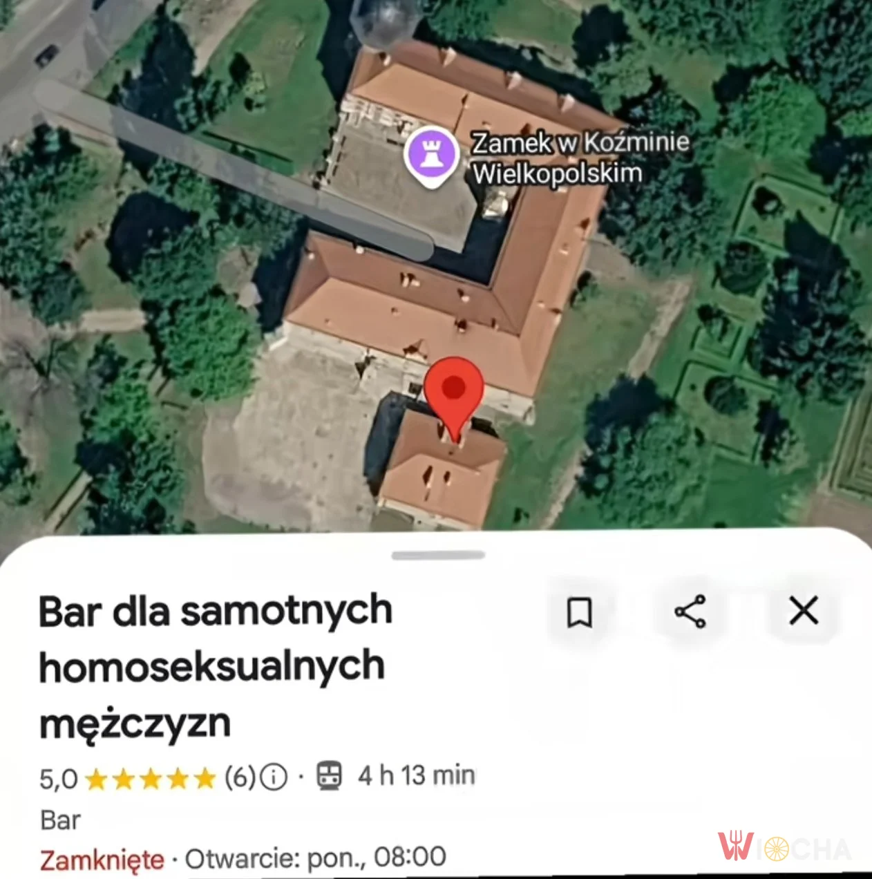 Jak znaleźć towarzystwo?