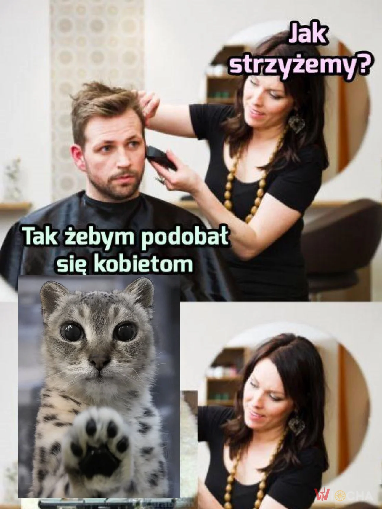 Jak strzyżemy?