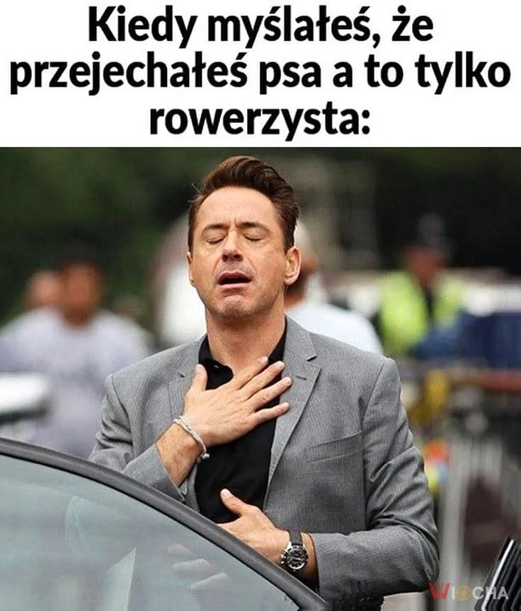 Ulga, że to nie pies!