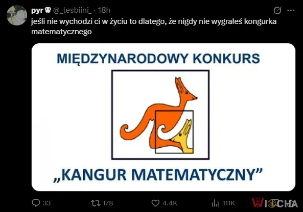Kangur matematyczny nie jest dla każdego