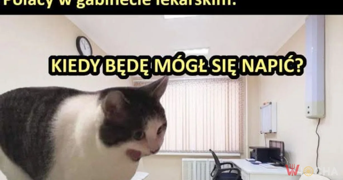 Prawdziwe pytania