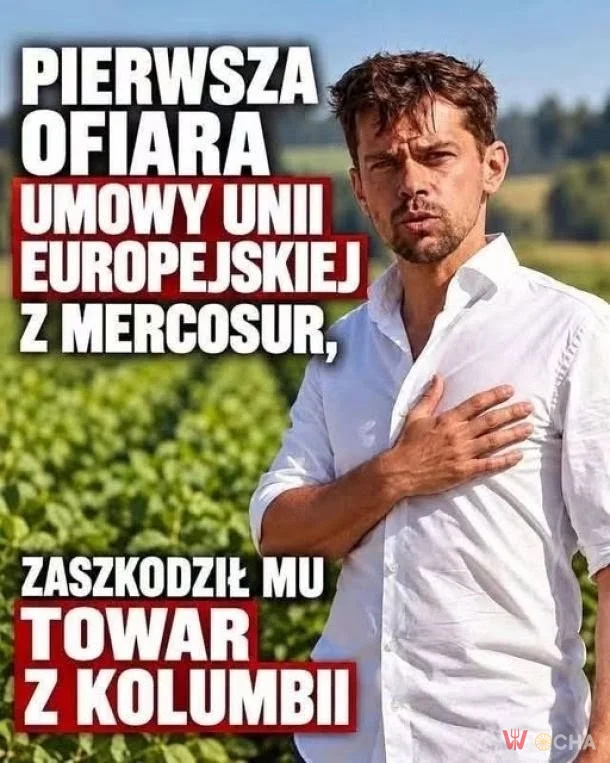 Narkotyki szkodzą.