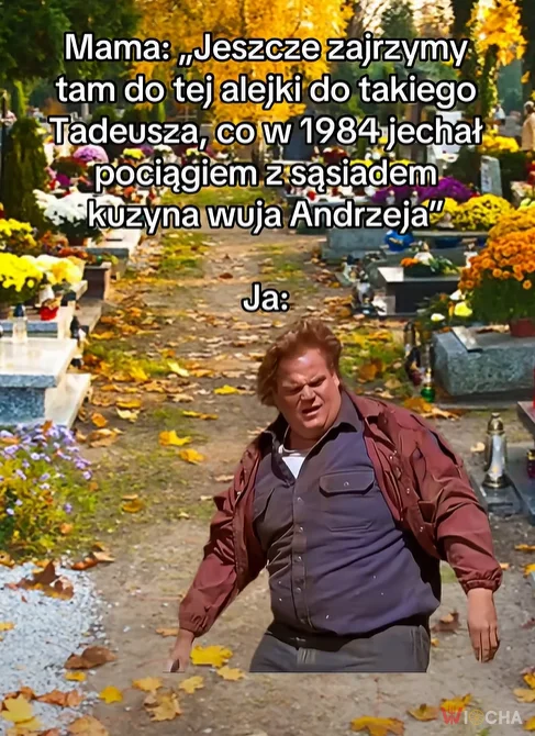 Chodź, jeszcze tu zajdziemy