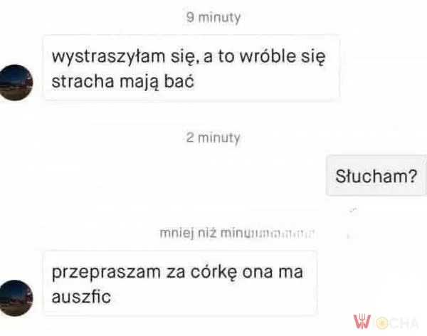 Ona ma auszfic