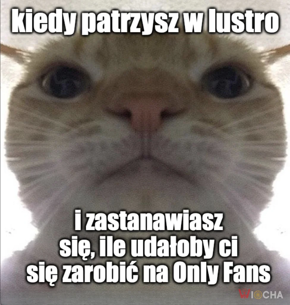 Lustrzane refleksje