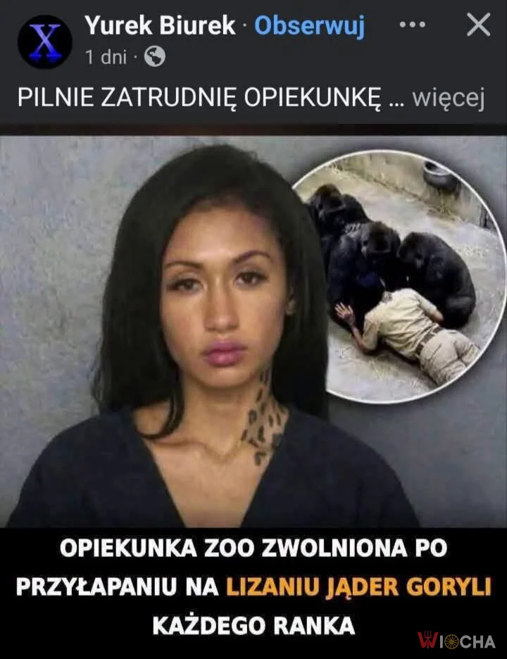 Poszukiwana opiekunka