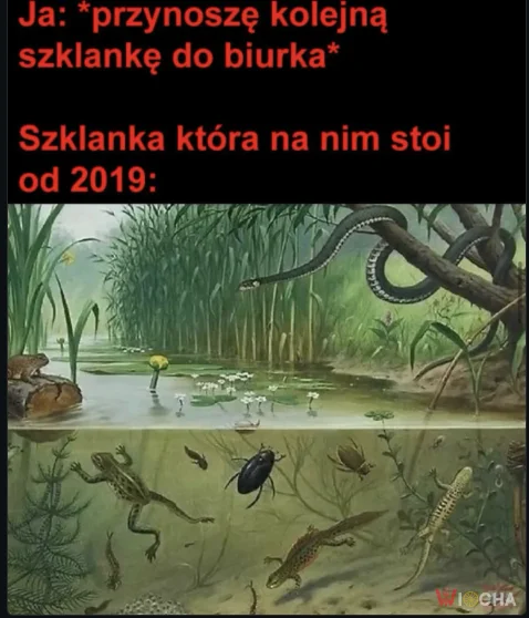 Kolejna szklanka