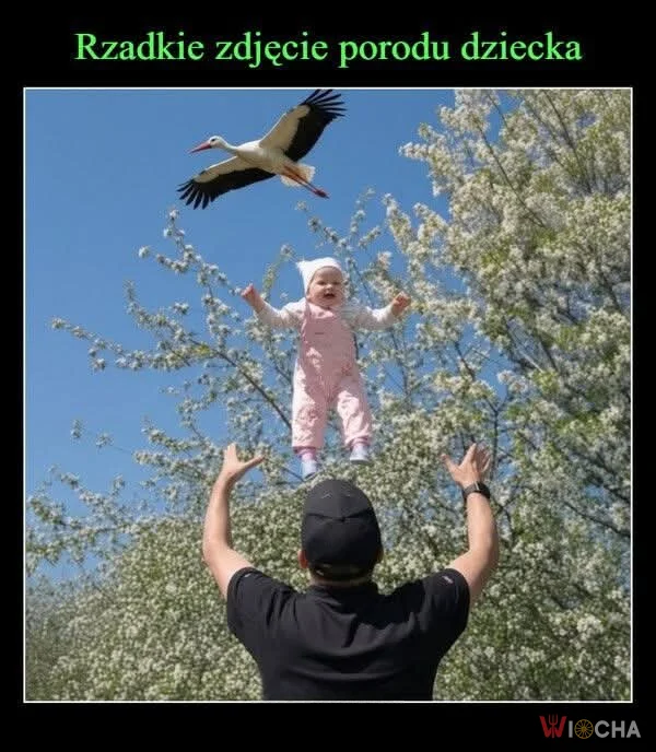 Bardzo rzadkie zdjęcie