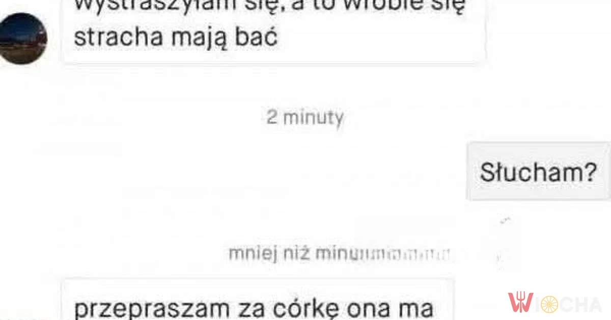 Ona ma auszfic