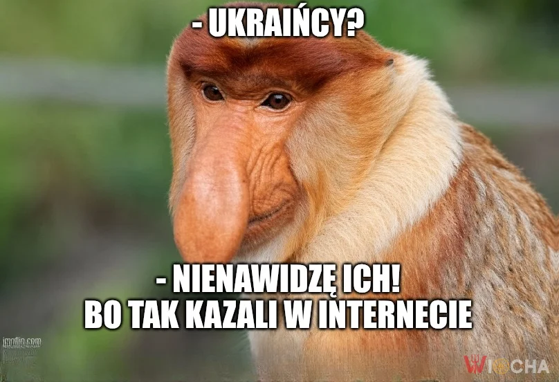 Tak mówili w Internecie