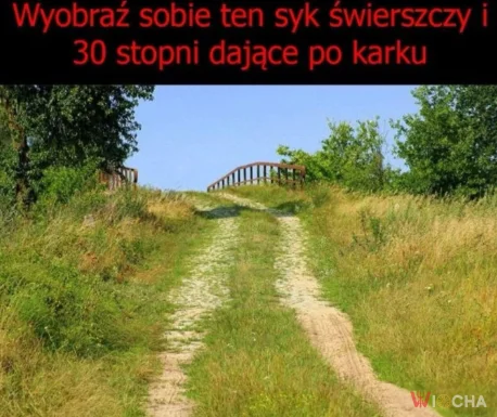 Tęsknię za tym