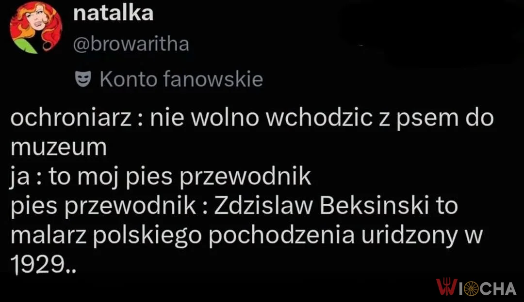 Pies z dyplomem ze studiów artystycznych