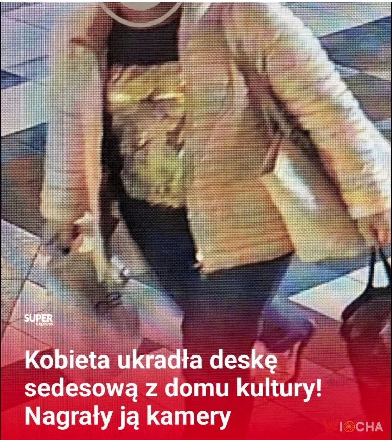 Zuchwała krzdzież