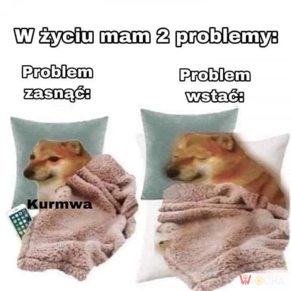 Dylemat życia