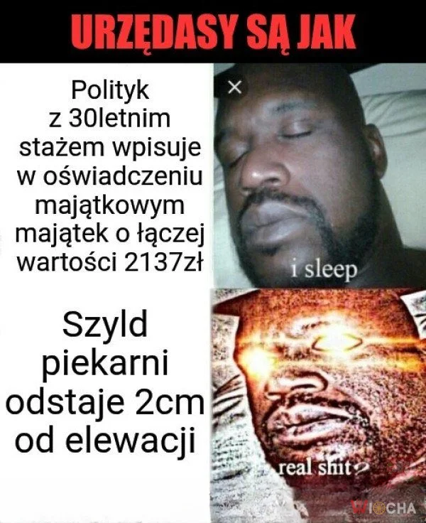 Urzędasy są jak