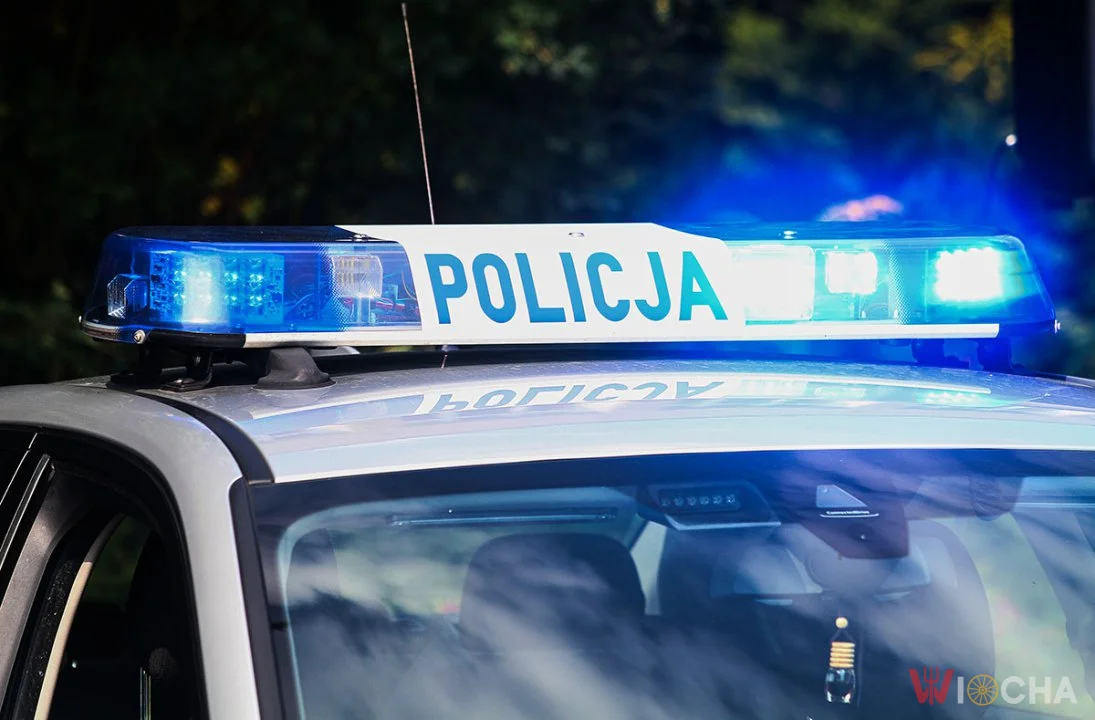 Wezwali policję do „nożownika” przy szkole. 10-latek miał plastikowy tasak
