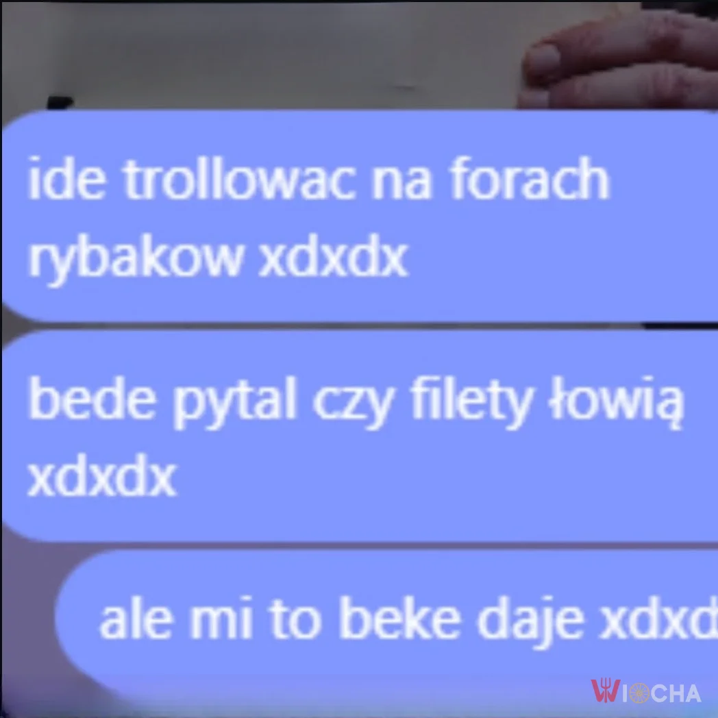 Trollowanie w sieci