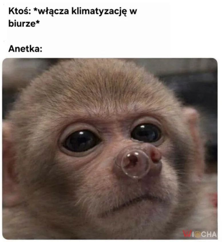 Anetka od razu chora