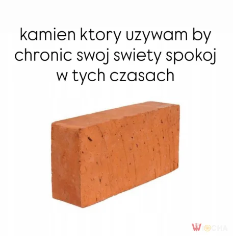 Wybieram cegłę