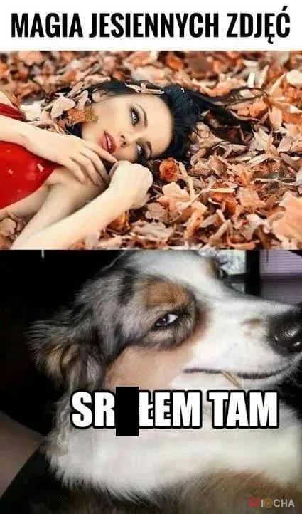 Jesienne inspiracje