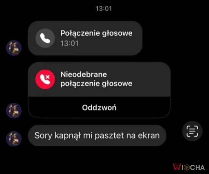 Pasztet kapnął na ekran