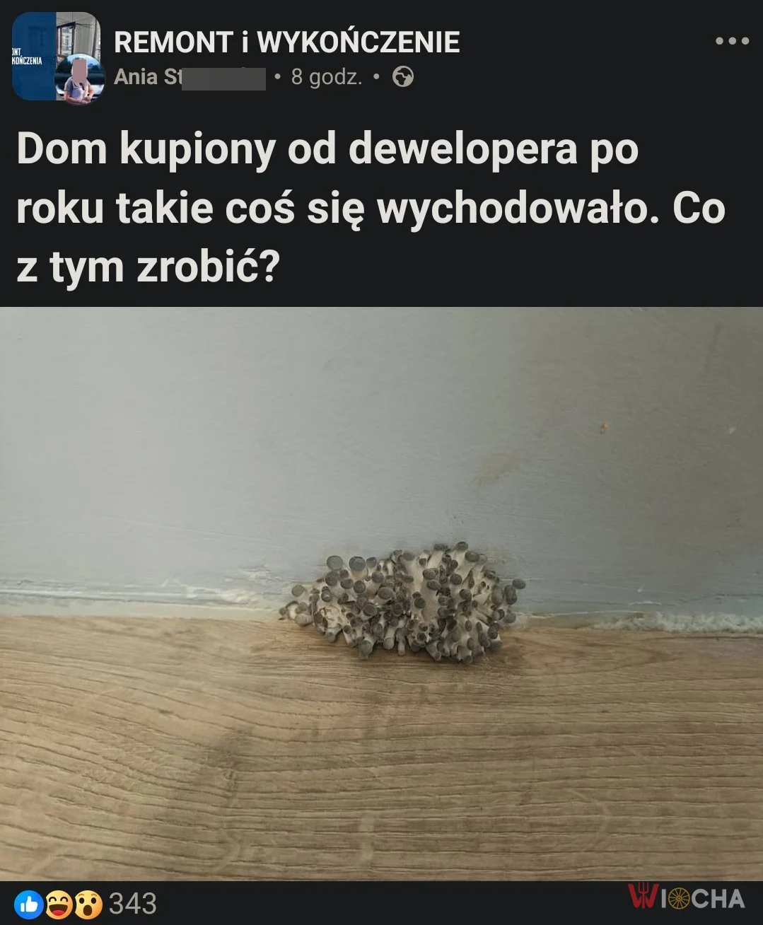 Kiedy deweloper zapewnia grzyby