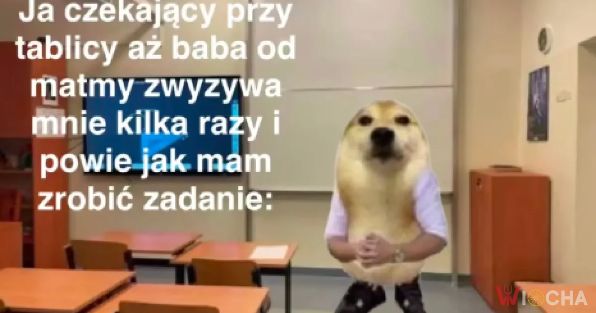 Kiedy nauczycielka znów wie lepiej